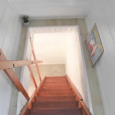 Our Forest House * Tržič