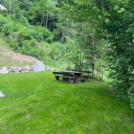 Apartman Our Forest House *